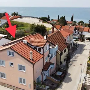 Ružica Dajla
